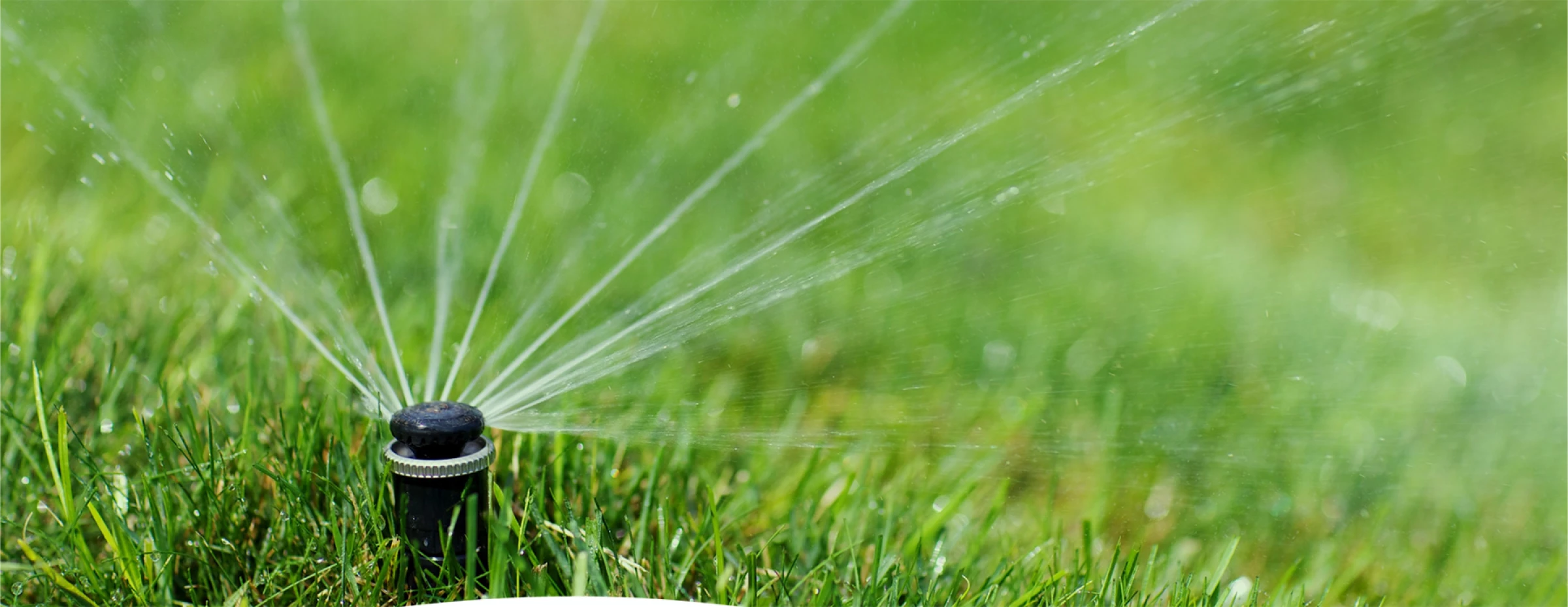 Sprinkler